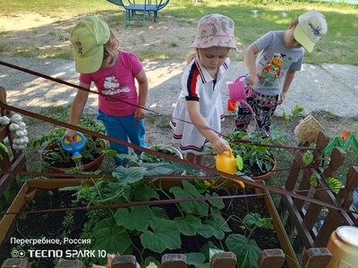 Юные агрономы